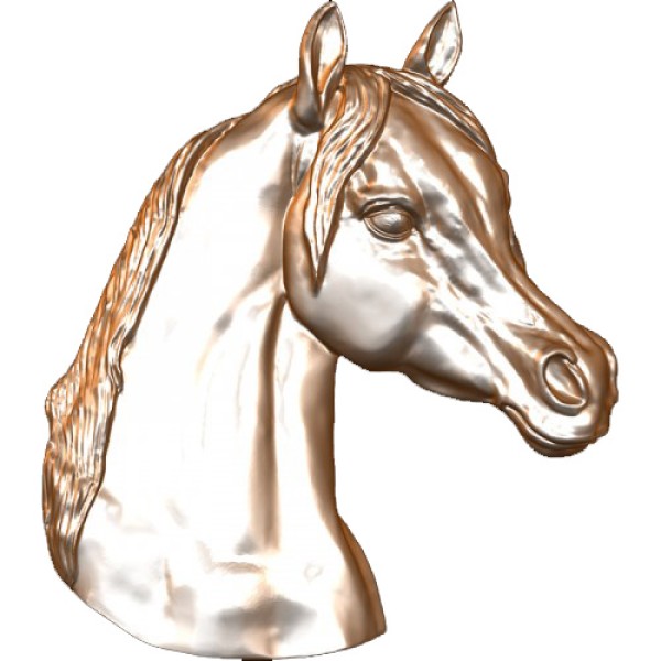 Arabian Horse Head