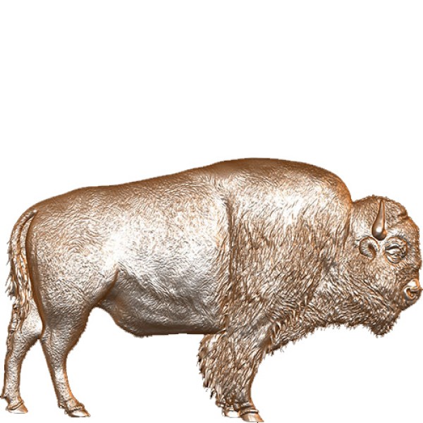 Buffalo