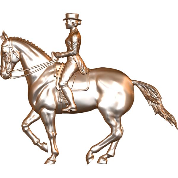 Dressage Rider