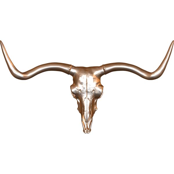 Longhorn Steer Skull