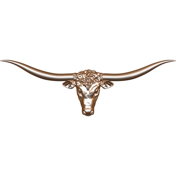 Longhorn Steer