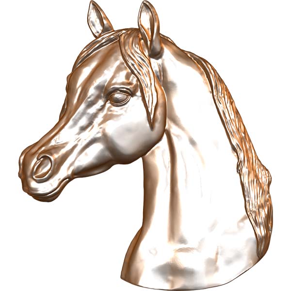 Arabian Horse Head