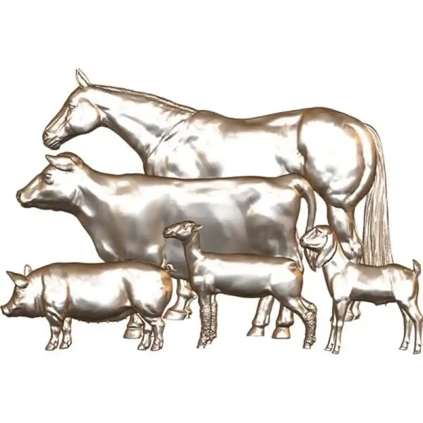 Multi - Animal - 2