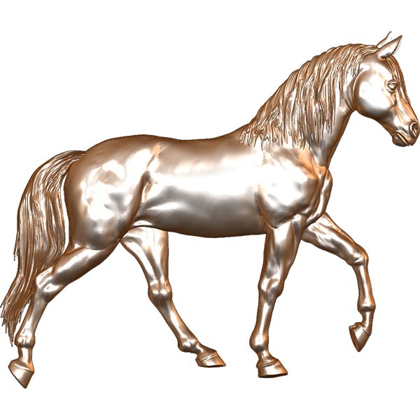 Gaited Horse 