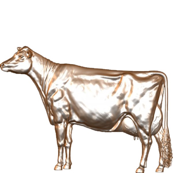 Cow