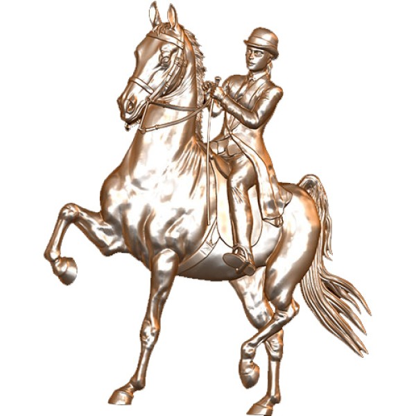 Gaited Horse - 1