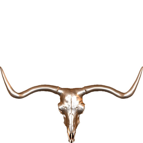 Longhorn Steer Skull