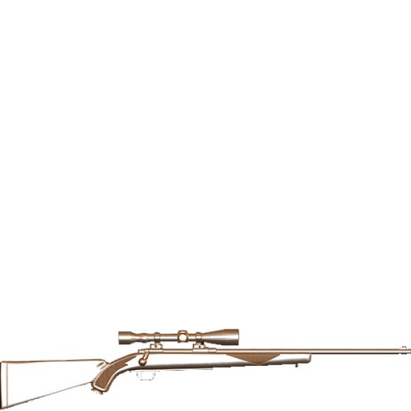 Rifle Winchester